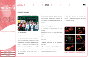 Maquetación 1 - CNB