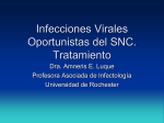 Infecciones Virales del CNS en pacientes con VIH/SIDA