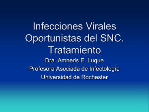 Infecciones Virales del CNS en pacientes con VIH/SIDA