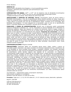 la prevencion mas correcta y eficaz de las enteritis y la