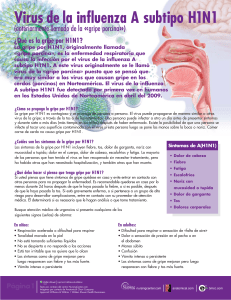 &iquest;Qu&eacute; es la gripe por H1N1?
