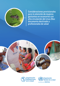 Consideraciones provisionales para la atención de