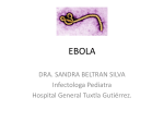 Ebola - cemesad
