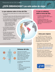 ¿ESTÁ EMBARAZADA? Lea esto antes de viajar