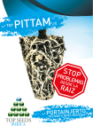 pittam - Top Seeds