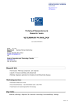 veterinary pathology - Vicerreitoría de Investigación e Innovación