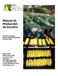 Manual de Producción de Zucchini