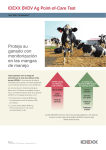 IDEXX BVDV Ag POC Dairy Vet Sell Sheet Spanish A-size