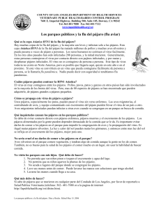 Los parques públicos y la flu del pájaro (flu aviar)