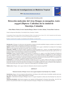 Detección molecular del virus Dengue en mosquitos Aedes aegypti