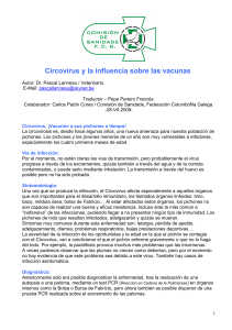 Circovirus y la influencia sobre las vacunas