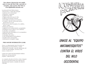 Fight the Bite Brochure