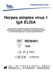 Herpes simplex virus 1 IgA ELISA