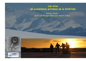 Los virus en ecosistemas extremos de la Antártida