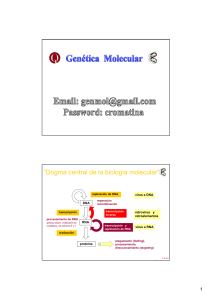 2013_Clase DNA2_VR_hibridacion