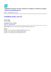 Cymbidium mosaic virus - Sistema Nacional Argentino de Vigilancia