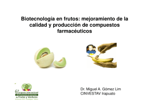 Biotecnolog&iacute;a en frutos: mejoramiento de la calidad y producci&oacute;n de