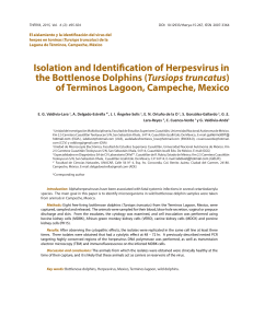 Isolation and Identification of Herpesvirus in the Bottlenose Dolphins