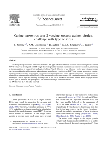 Canine parvovirus type 2 vaccine protects against virulent challenge