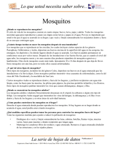 Mosquitos - Texas Prepares