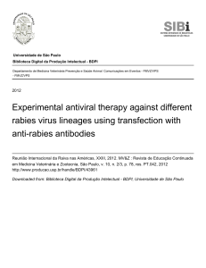 Experimental antiviral therapy against different rabies virus lineages