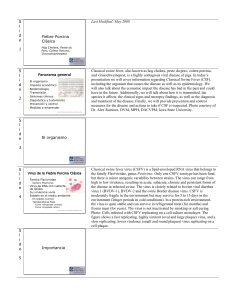 S l i d e 1 Fiebre Porcina Clásica Last Modified: May 2008 S l i d e 2