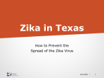 Zika Educational Deck English (1.2 mb, PDF)