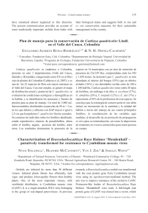putatively transformed for resistance to Cymbidium mosaic virus