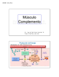 Microsoft PowerPoint - M\\372sculo_06a.ppt