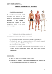 tema 2 - el sistema muscular humano