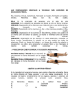 LAS FORMACIONES GRUPALES o TECNICAS MÁS COMUNES