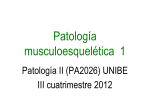 Musculoesqueletico - Pediatría I y Patología II