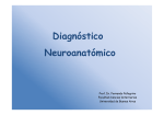 DIAGNOSTICO NEUROANATOMICO