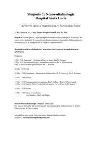 Simposio de Neuro-oftalmolog&iacute;a Hospital Santa Luc&iacute;a El nervio