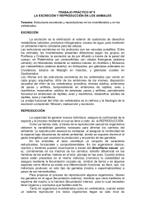 TRABAJO PRÁCTICO Nº 9 LA EXCRECIÓN Y REPRODUCCIÓN