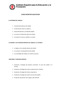 CURSO MONITOR EQUITACION