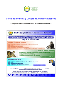 Curso de Medicina y Cirugía de Animales Exóticos