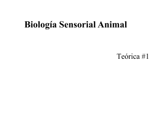 Biologia Sensorial Animal