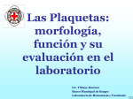 Las Plaquetas: morfología, función y su evaluación en el laboratorio