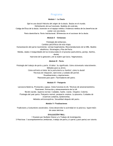 Programa - Nueve Lunas