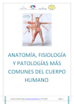 anatomía, fisiología y patologías más comunes del