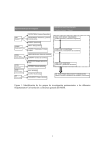 Diagrama grupos investigación