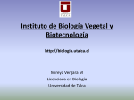 Instituto de Biología Vegetal y Biotecnología http://biologia.utalca.cl