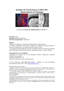 Instituto de Neurociencias UMH-CSIC Departamento de Fisiología