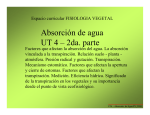 UT4_2da Parte Absorcion Agua_10