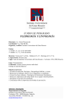 curso de posgrado: flebología y linfología