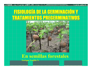TRATAMIENTOS PREGERMINATIVOS E