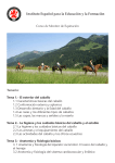 Descargar temario en PDF - Instituto Español para la Educación y la