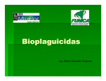 Bioplaguicidas