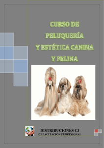 curso de peluquería y estética canina y felina